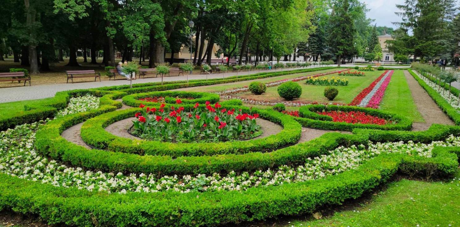 Rezydencja Pod Teznia & Spa Inowrocław Εξωτερικό φωτογραφία
